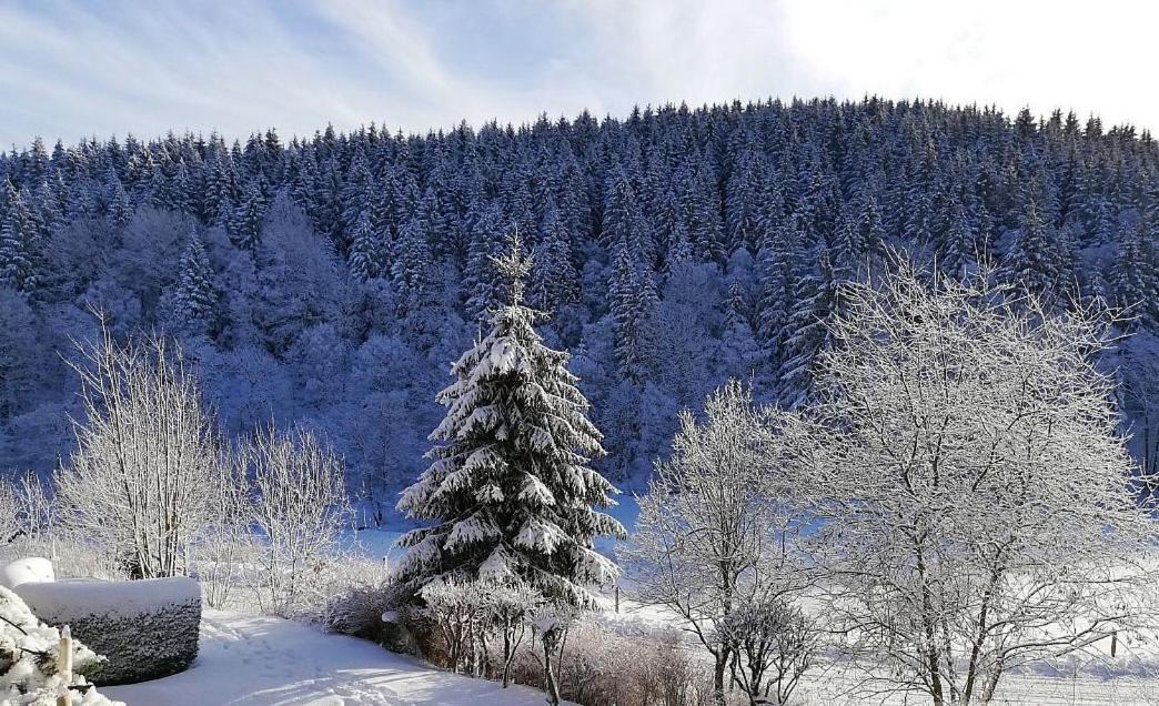 Ferienwohnung Buere Blick Mit Wellnessbereich Direkt Im Skigebiet Winterberg, Ski, Bike, Golf Esterno foto